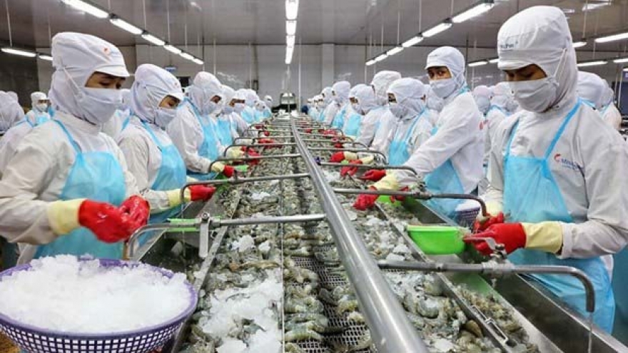 Shrimp industry optimises advantages for development